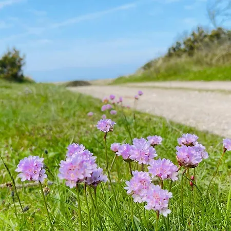 Luxury Retreat With Pool - By Traum Torup Strand